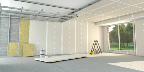Best Professional Insulation Contractor  in Lake Mills, IA