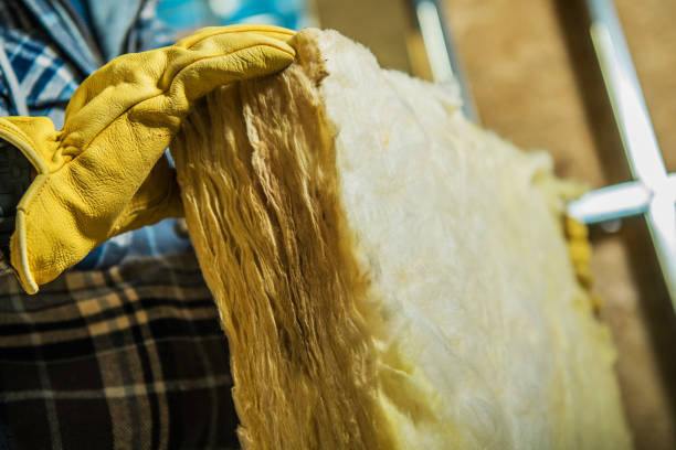 Best Fiberglass Insulation  in Lake Mills, IA