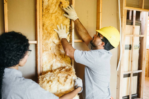 Professional Insulation Contractor in Lake Mills, IA